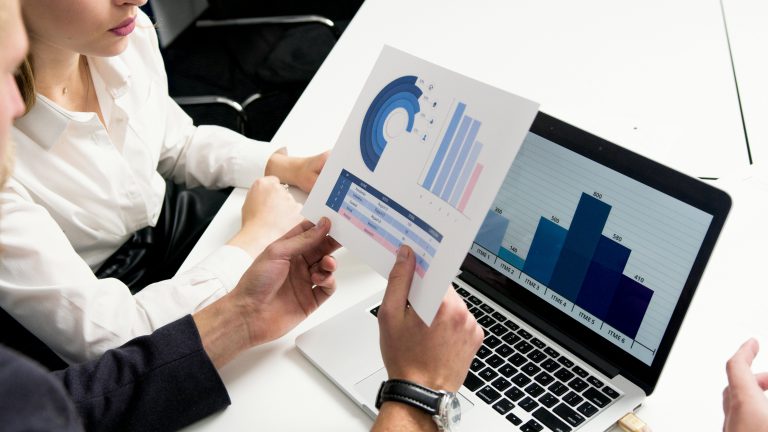 website audit